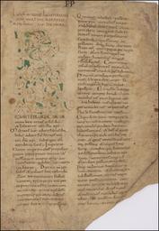 Digitized Arch.Cap.S.Pietro. DigiVatLib