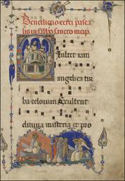 Digitized Arch.Cap.S.Pietro. DigiVatLib